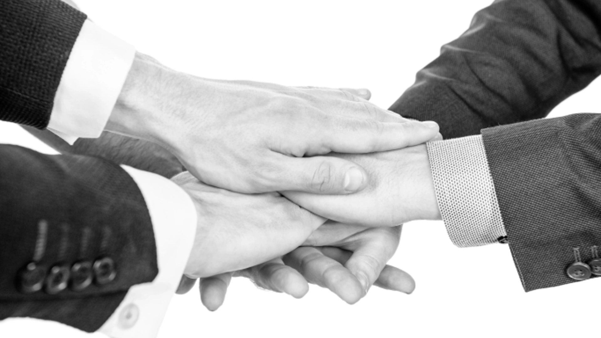 Net Service Group acquires Oikos Area to strengthen
Sustainability and Governance Consulting expertise