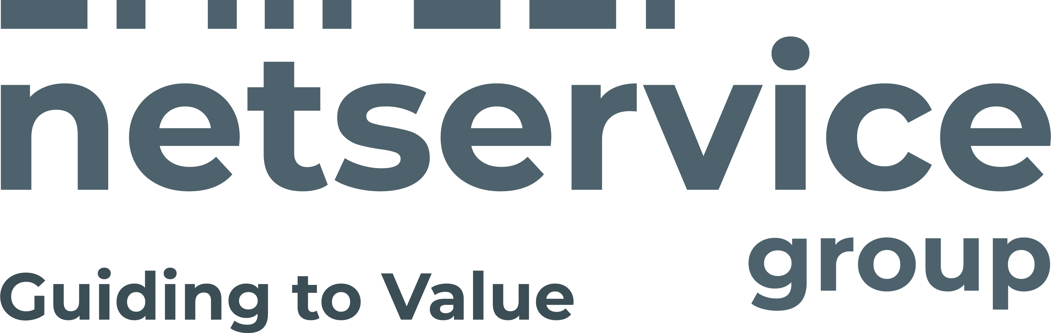 Logo Net Service