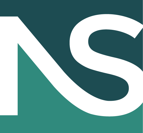 Logo Netservice