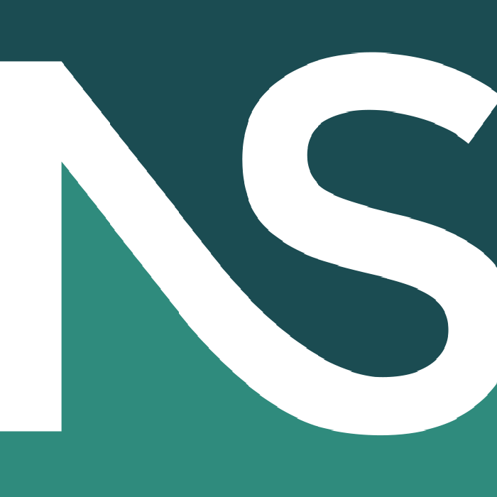 Logo Netservice