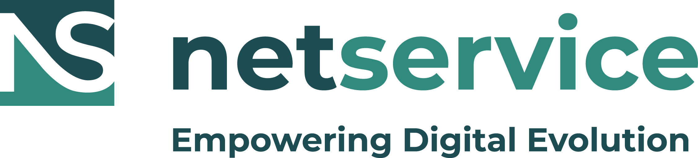 Net Service S.p.A.